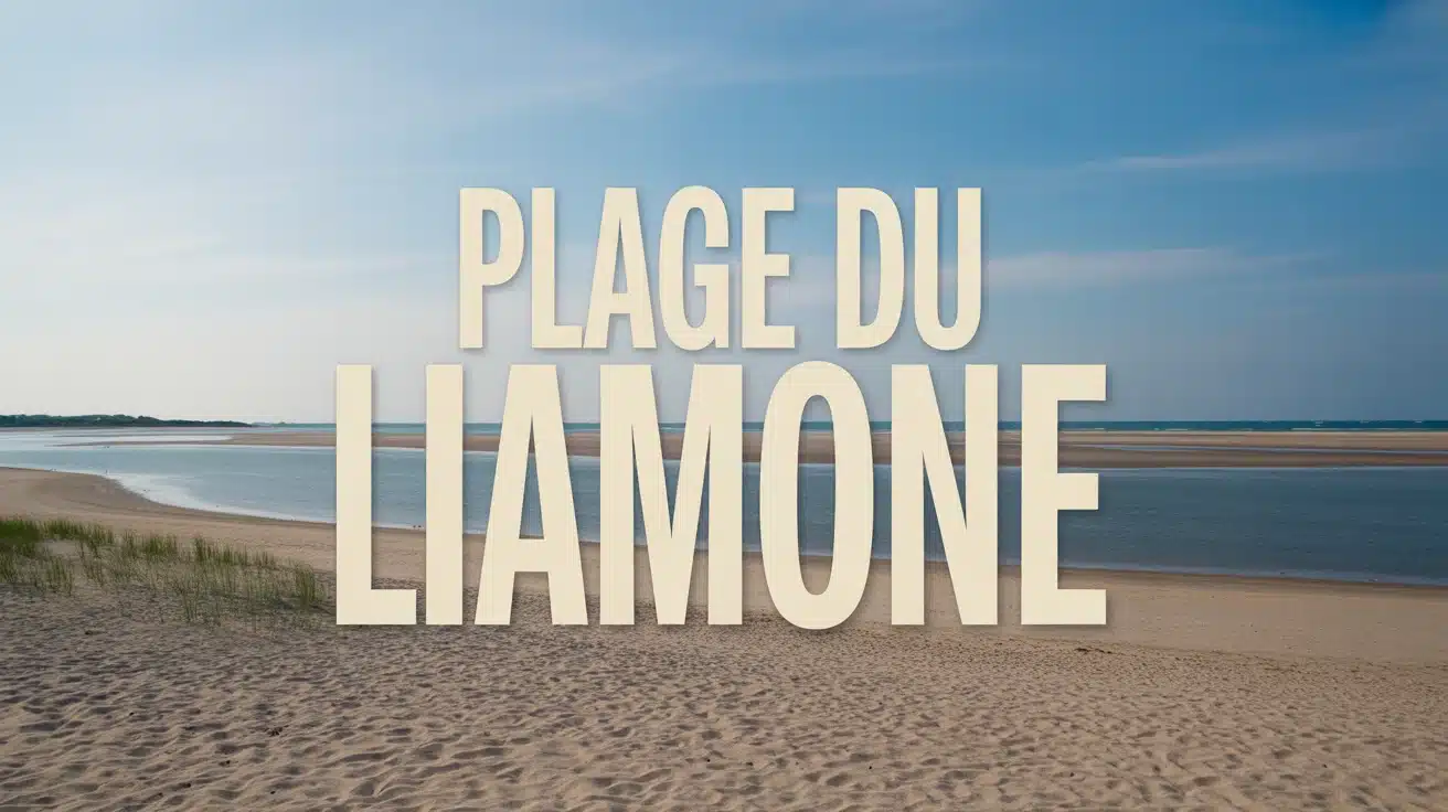 plage du Liamone sable sauvage et littoral